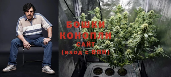 PSILOCYBIN Баксан