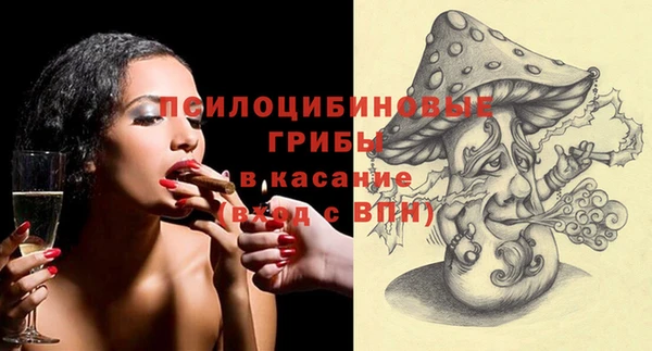 PSILOCYBIN Баксан