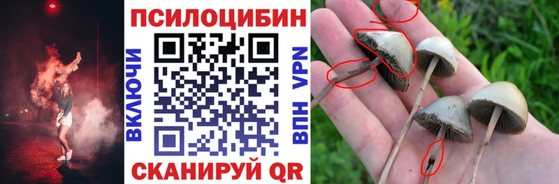 площадка состав Темрюк Псилоцибиновые грибы ЛСД